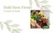 Pack of 6 FLOFARE Round Floral Foam Blocks for Fresh and Artificial Flowers, Each (3" X 1.5"), Dry & Wet Green Flower Foam for Flower Arrangements & Florist Supplies
